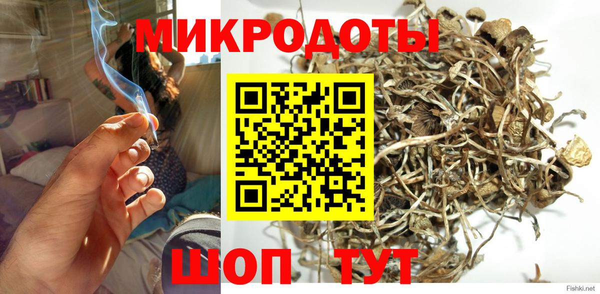 Кондопога  Галлюциногенные грибы мицелий  Вход с VPN 