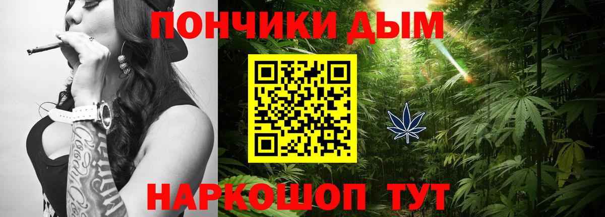 Каннабис планчик Кондопога